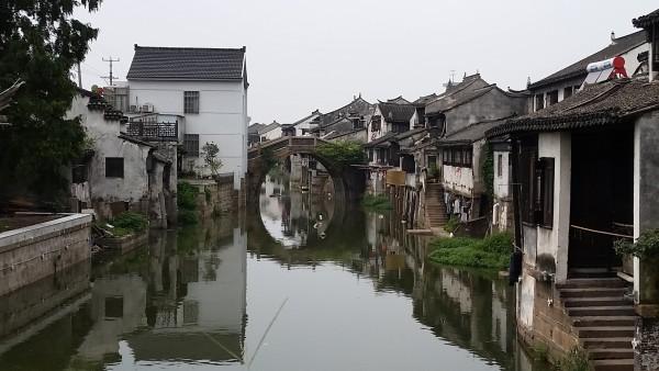 救援受困的鹭